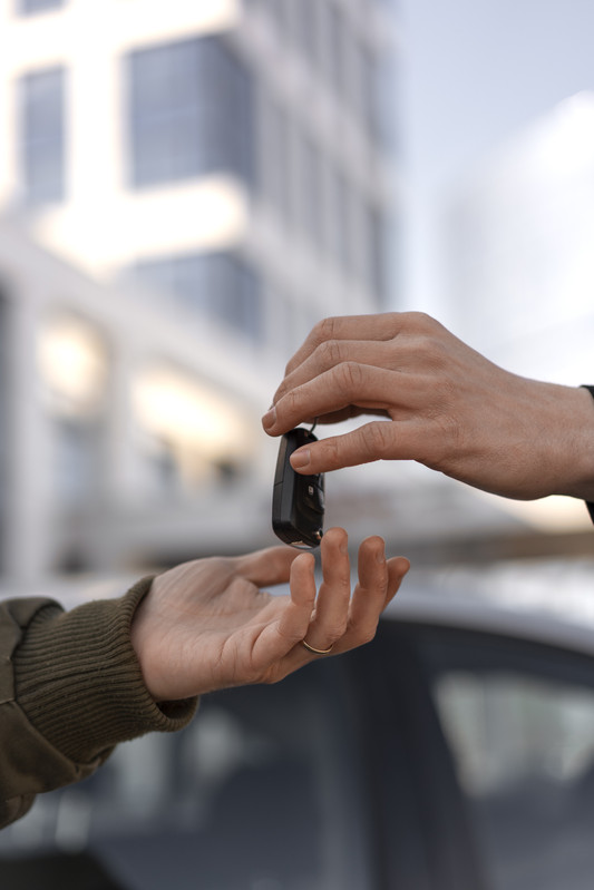 Entrega de Chaves Alvem