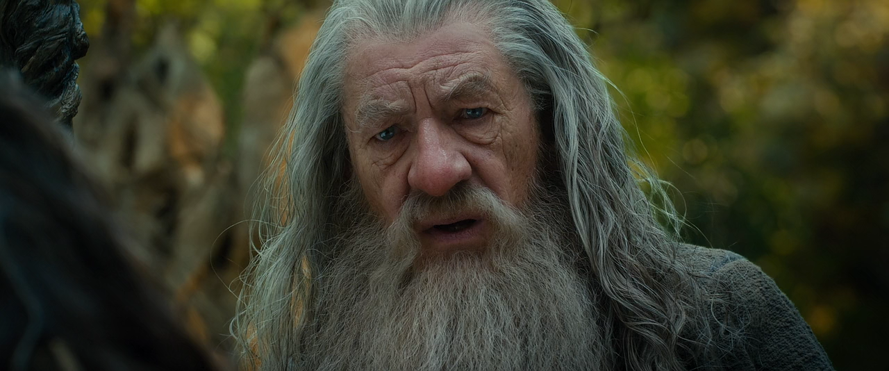 The Hobbit An Unexpected Journey.2012.720p.BluRay.x264-LEONARDO.mkv - 01.08.33.067