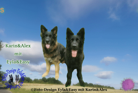 An den Beitrag angehängtes Bild: https://i.postimg.cc/26c4cdkc/Viele-Gr-e-im-August.gif