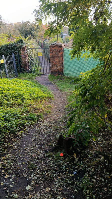 photo_2025-10-20_12-49-28