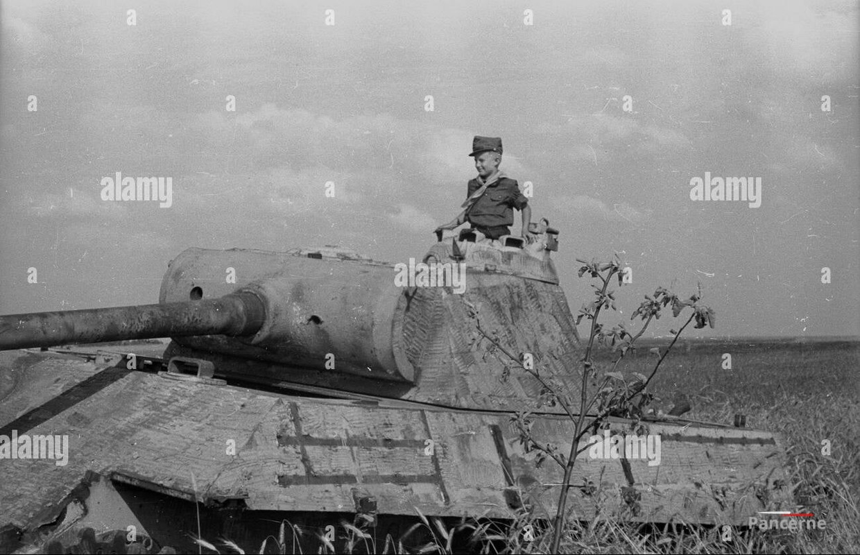 271850394_4701038173355730_7561657652489368784_n (1)