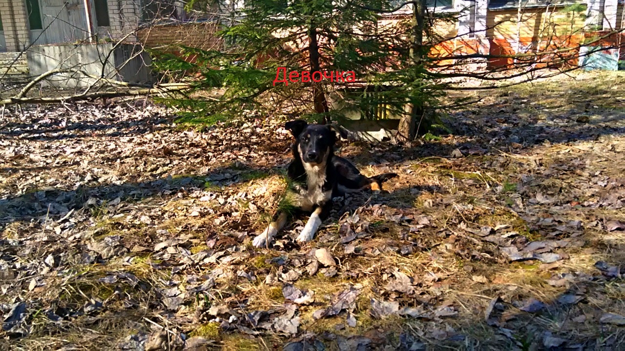 2090650A-E7A9-40B2-80E9-4DC9AF1B1374