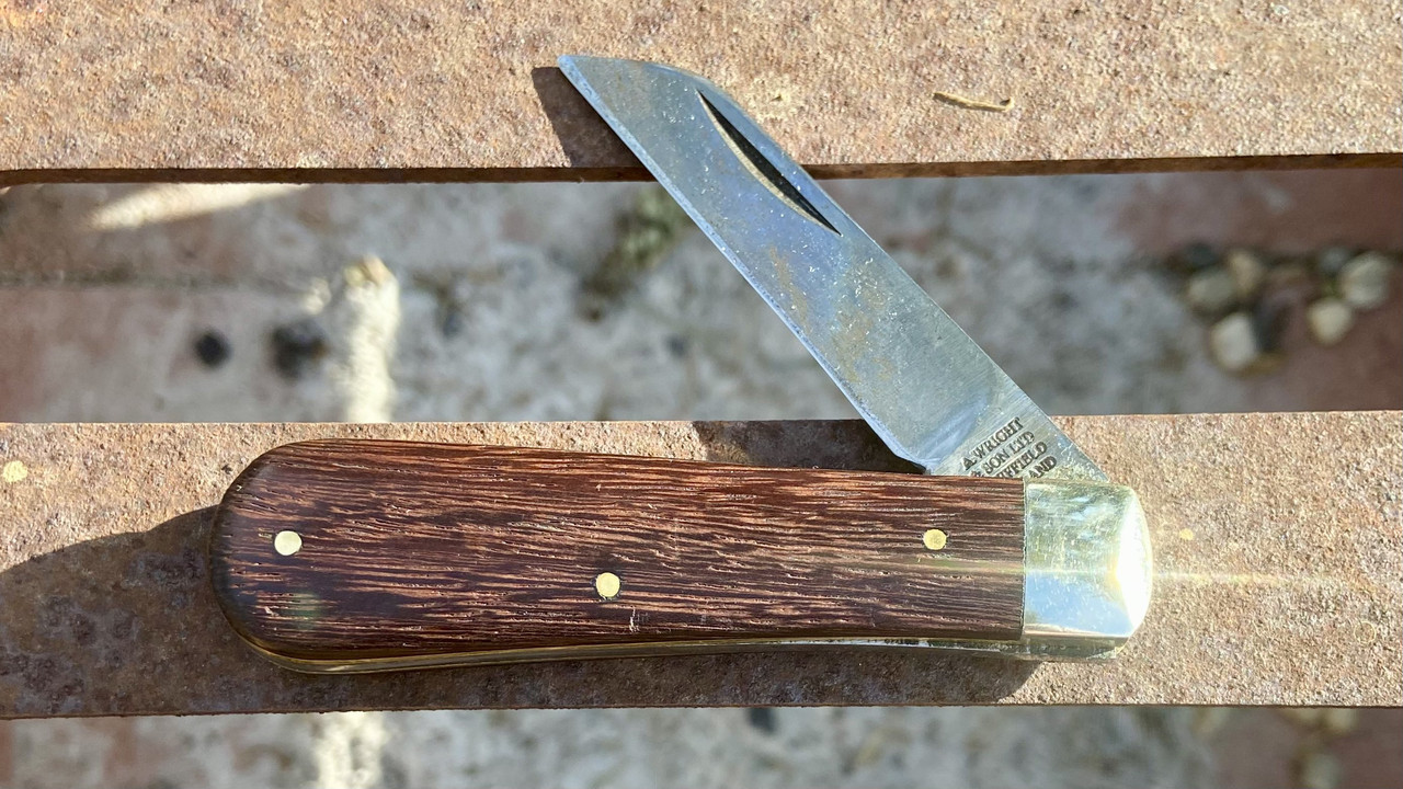 96FA71B7-05C1-405B-8185-A519F144469A_1_201_a