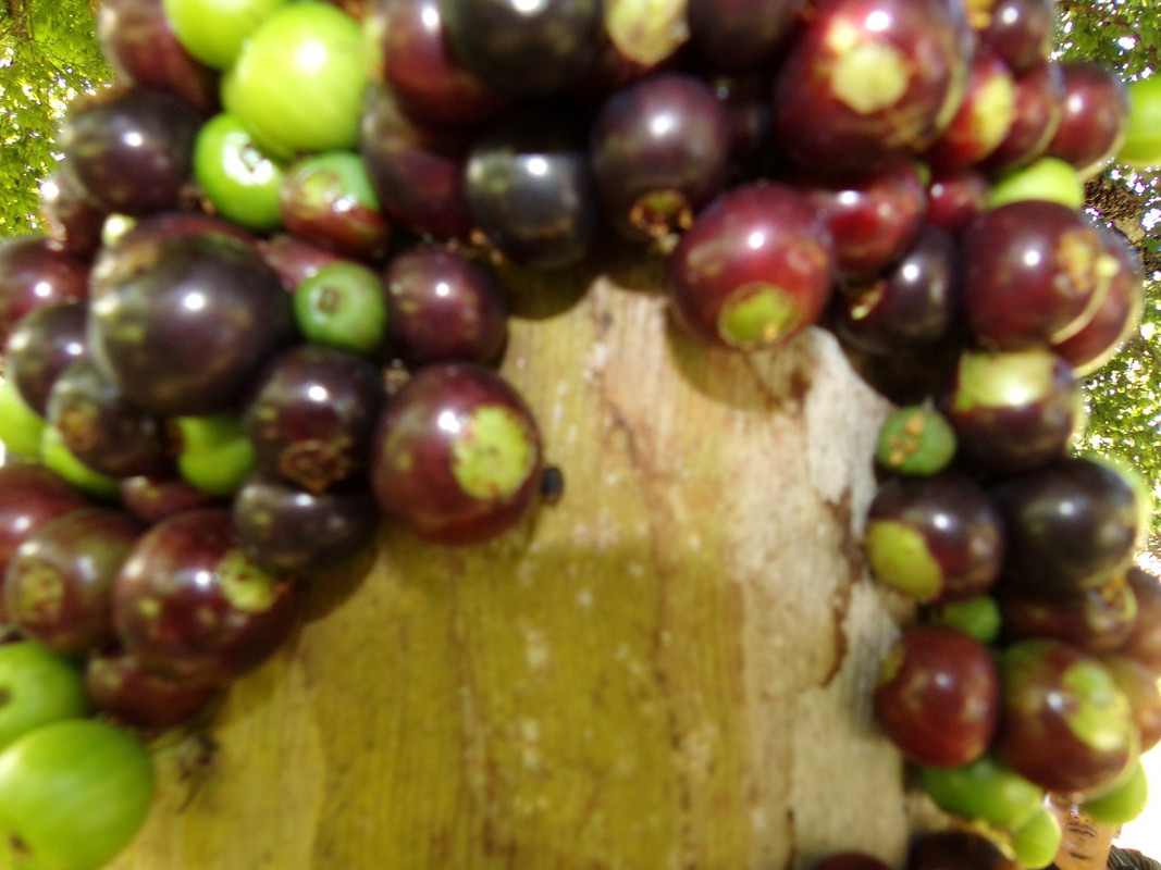 WhatsApp Image 2020-12-20 at 00.58.58 (15)