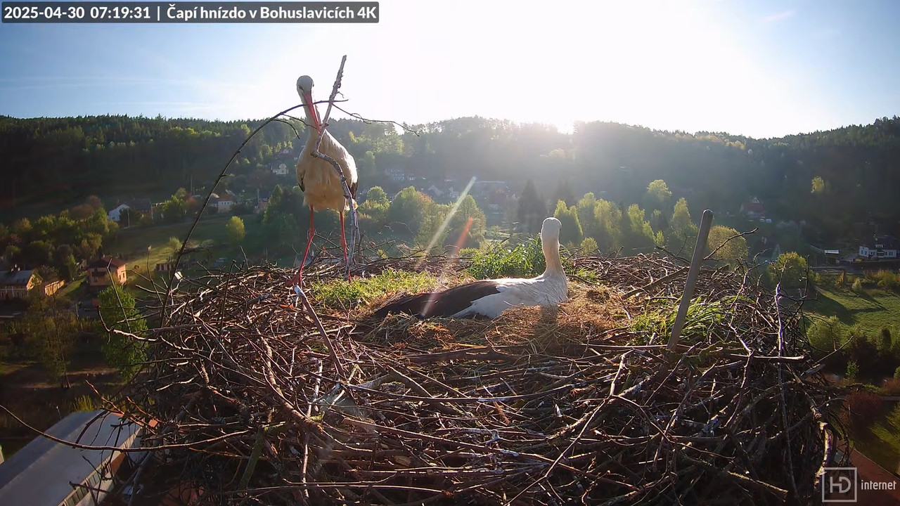 Tiešraide no KARA uzņēmuma stārķu skursteņa Bohuslavicē netālu no Trutnovas 8-41-22 screenshot