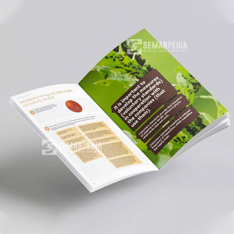 Jasa Desain Katalog Produk | Semarpedia