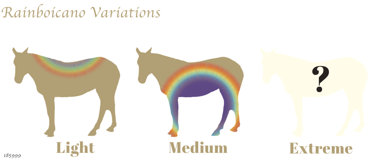 Rainboicano-Variants.png