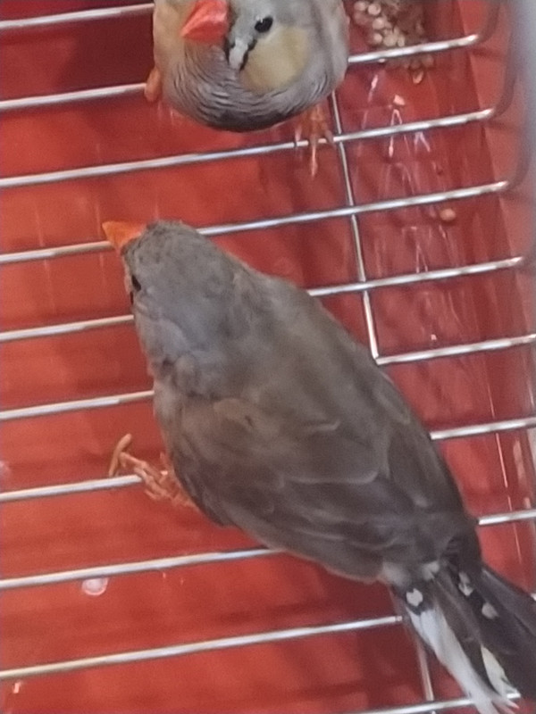 IMG_٢٠٢٠٠٧٢١_١٢١١٥٦