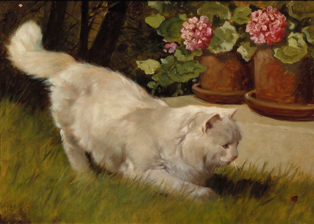 6-Arthur-Heyer-A-White-Persian-Cat-with-a-Ladybird-oil-on-board-Meister-Drucke-911256