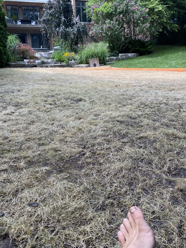 433437E5-1B67-48B8-A138-0E104B06A677