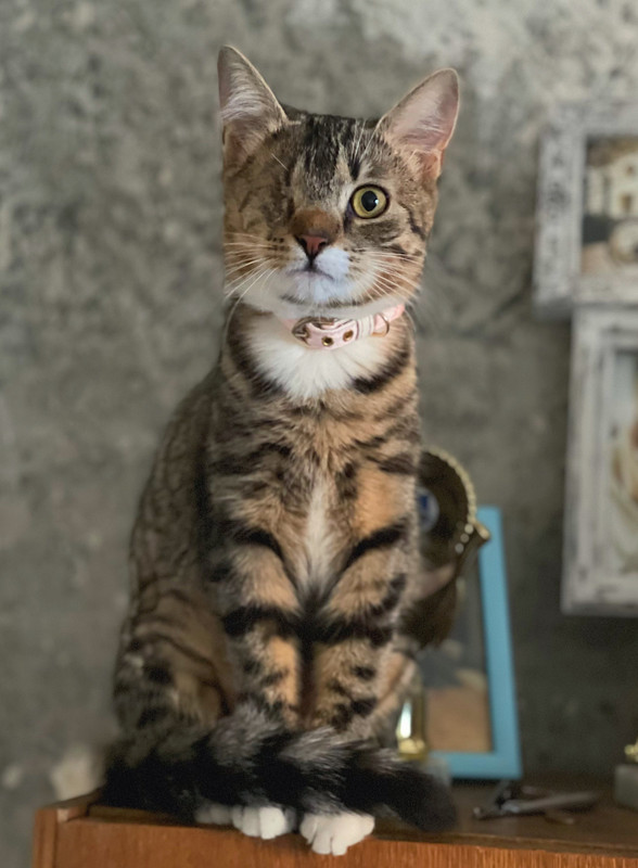 CCF1C7BF-7054-4A80-BE9E-29F419E366F7