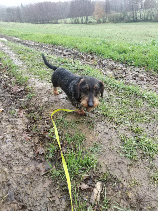 [Image: IMG-20201210-131328.jpg]