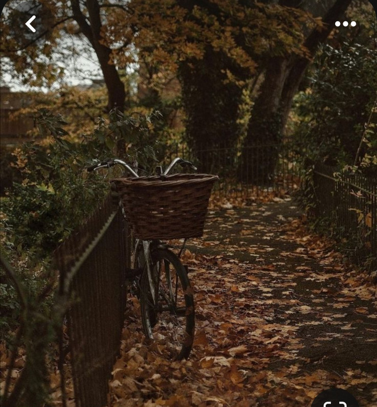 Screenshot_20231112_212229_Pinterest