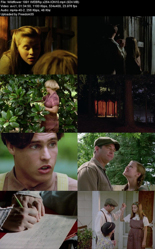 Wildflower-1991-WEBRip-x264-ION10.jpg