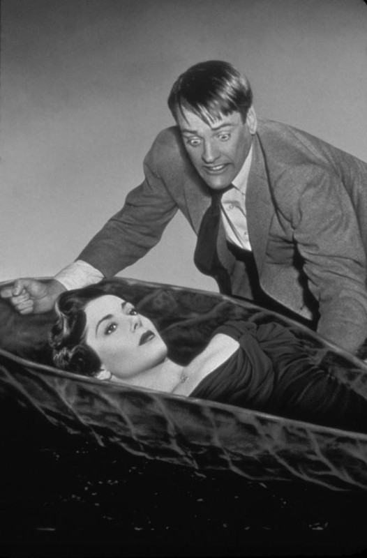 dana wynter b39