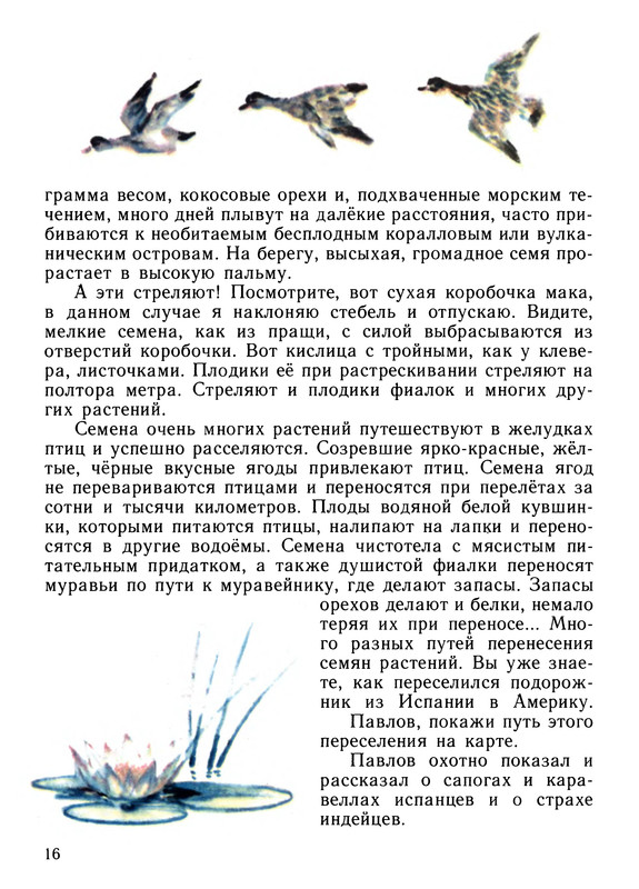 p0019