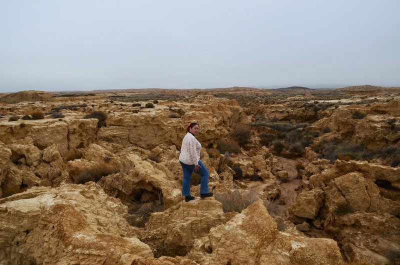 Navarra y sus pueblos-2015 - Blogs de España - Las Bárdenas Reales-15-11-2015 (24)