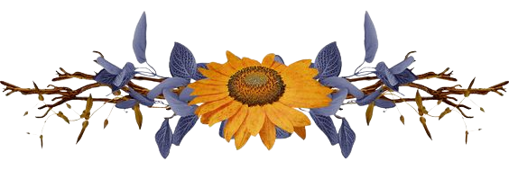 da0a8e5ec4c9c32280cf9eb72b4ce0c8-removeb