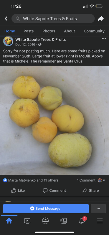 95F5D295-A538-4E37-8E7B-17E4C0606354