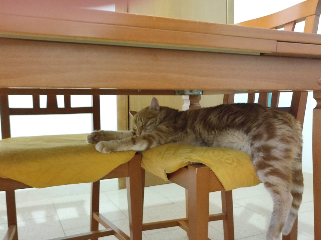 68D9B1B8-28F8-4730-BA80-08F56A9793E8