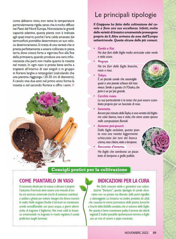 Sal Nat  Nov 2022 (12)