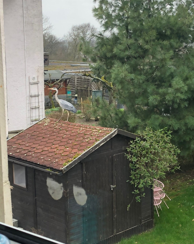 IMG-20240312-WA0002~2