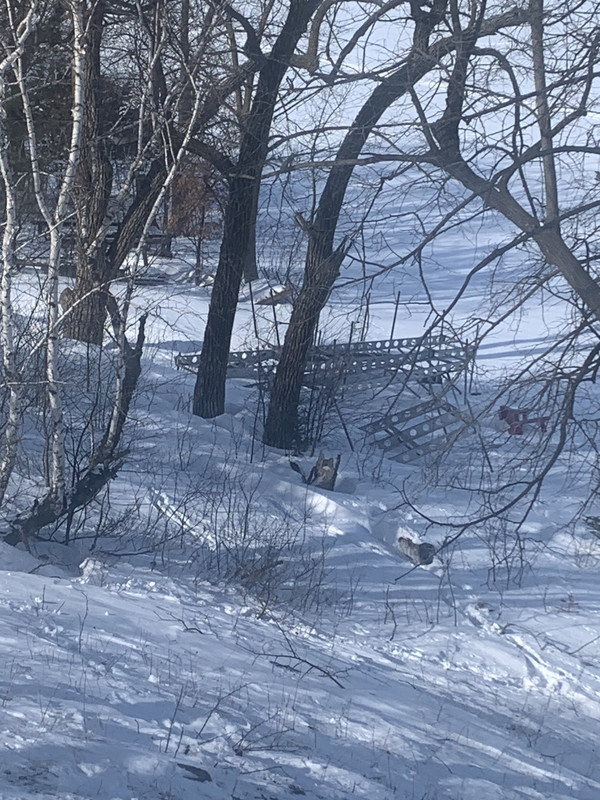 C65AEE67-2F56-433D-9CDC-E57BDEC292BA