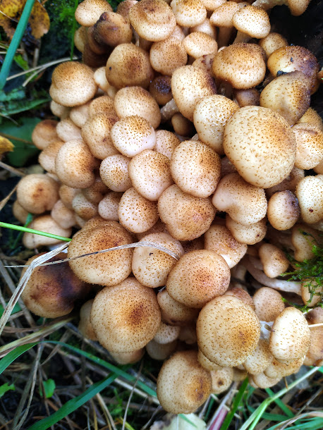 IMG_20220903_183434 (1)