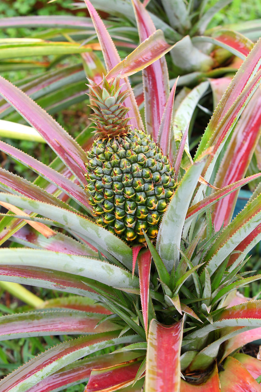 8B1DF802-1168-4C74-865E-31837BEDCF36