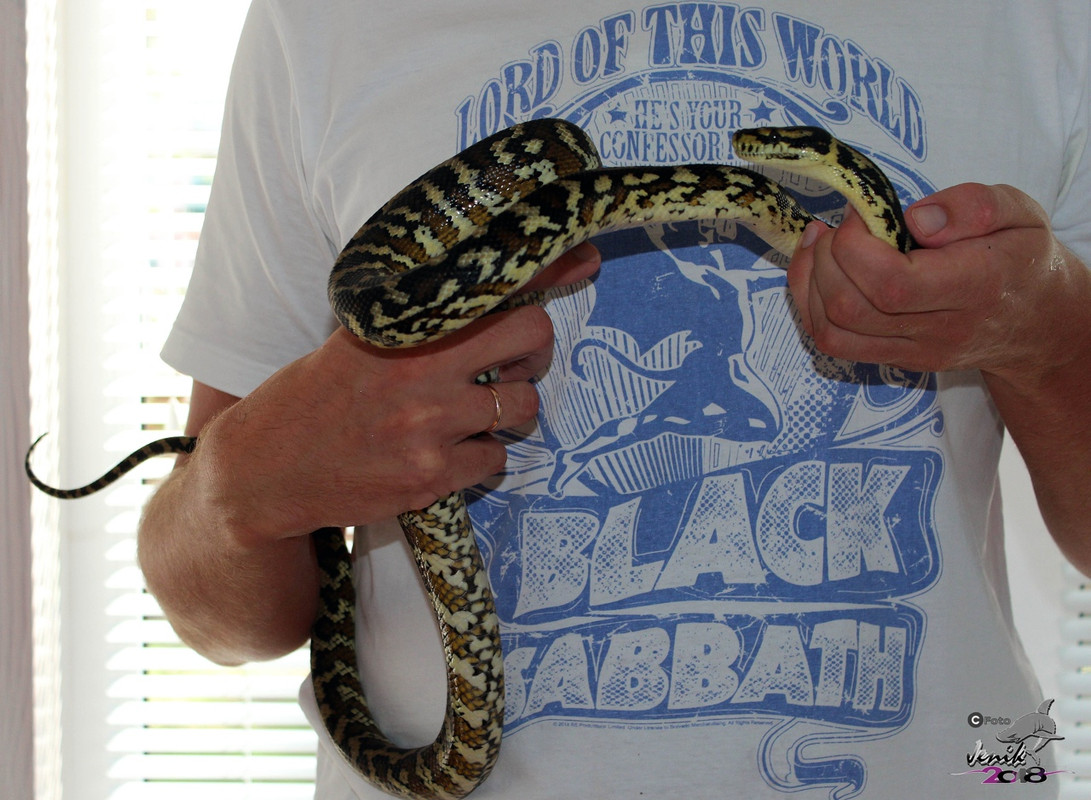 5xKnnp0F6TdUHVksPcQuwUQdBlsbBR1zo5FFC-mWWtPuLNWHQ8F34pv4_KY3X2bSE9Bau1TqHmNBxDLioGuE7jqA