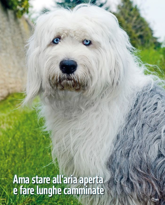 QuattroZampe Dic 2024-Gen 2025 (10)