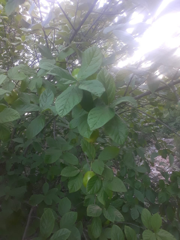 WhatsApp Image 2020-12-20 at 00.10.00 (30)