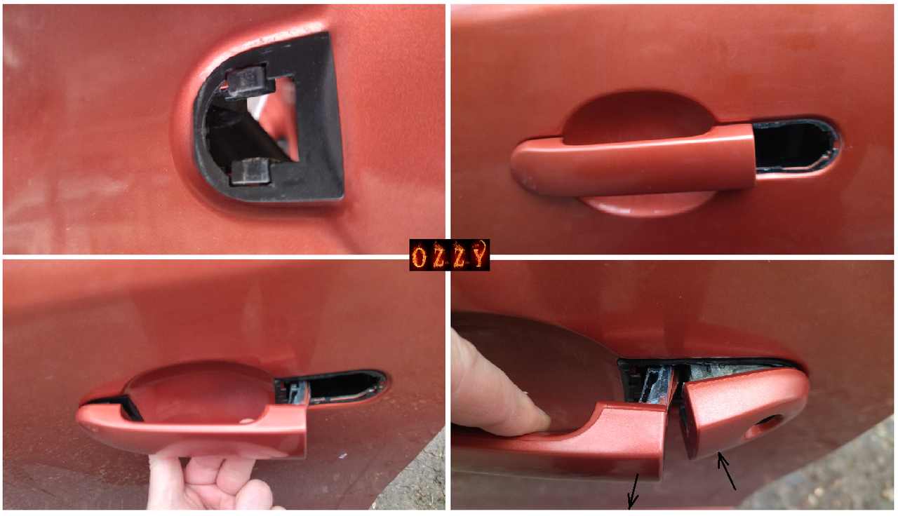 1 — копия (24)