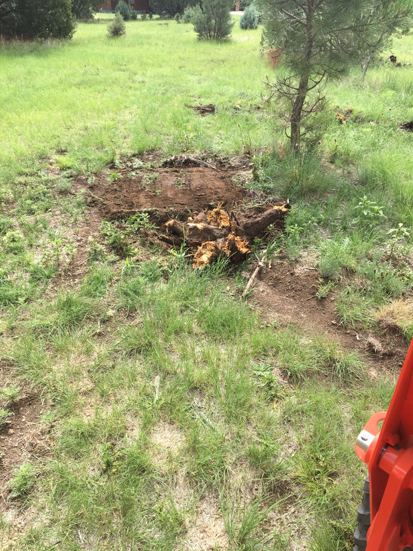 41F6FDC4-A443-498A-852E-C79B1668BF38