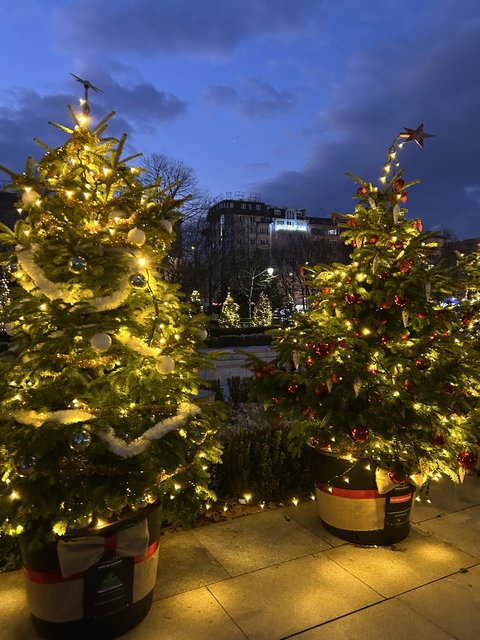 Sofía - Roma. Un viaje combinado para estas Navidades. - Blogs de Europa - Sofía: Llegada de madrugada y visita a la ciudad (36)