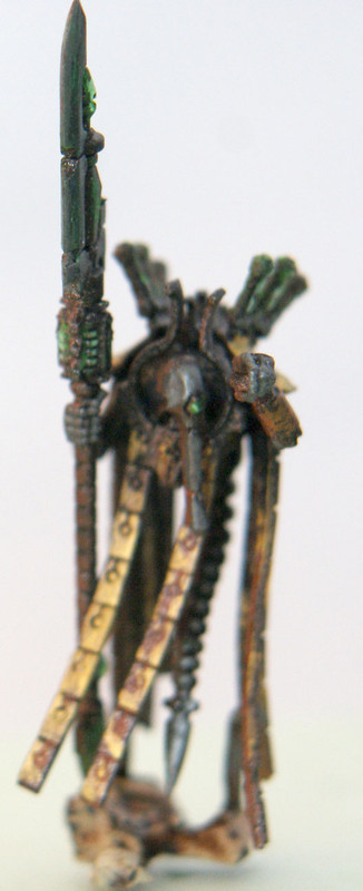 necron-d-tails-DSC00571.jpg