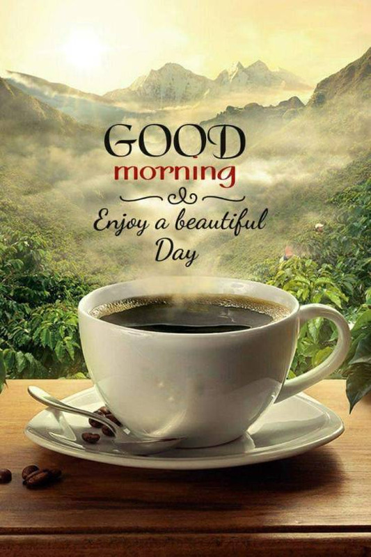 tumblr_da10e8a7a91ea76377dfeeac1e324860_751d0099_540