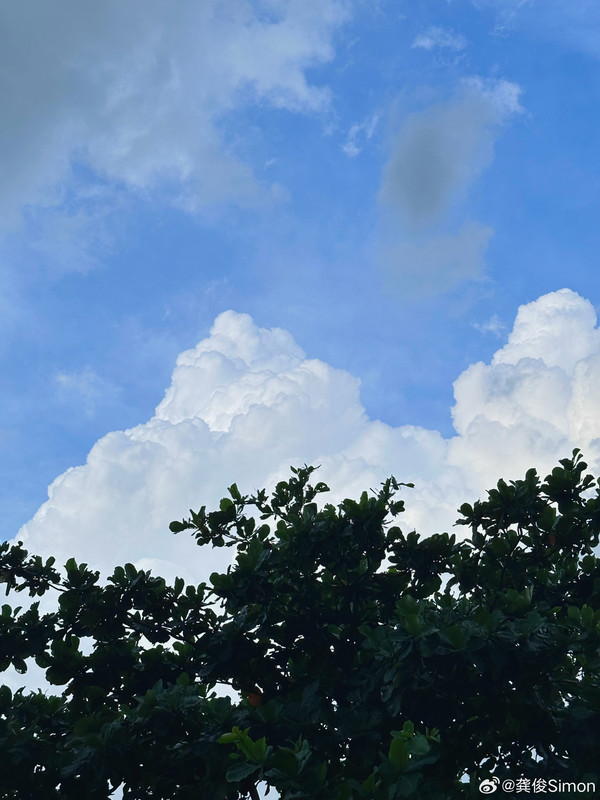 81770656ly1hh0w0nkiujj22c0340kjl.jpg