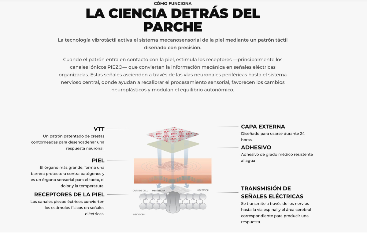 Canales Piezo