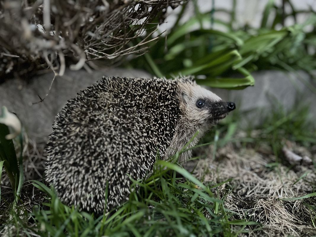 D463158A-2910-44E5-89F3-5E98D82DDDAF