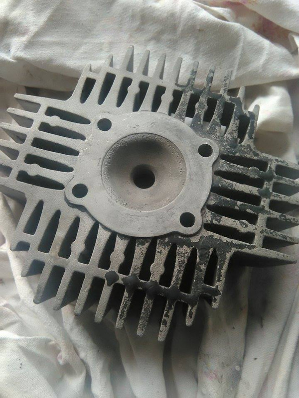 12935335_10208937951546564_833527787_n