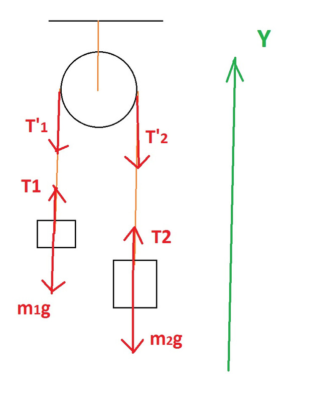 Динамика з-ча рис(OY)