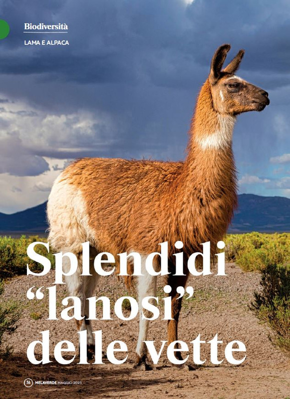 melaverde Mag 2023 (3)