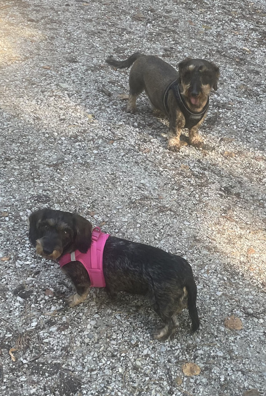 [Image: IMG-7731.jpg]