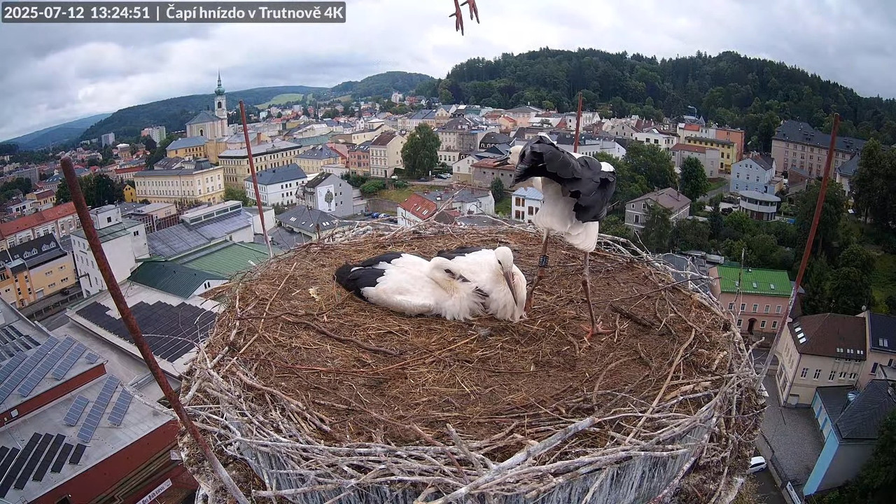 Tiešraide no stārķa ligzdas uz alus darītavas skursteņa Trutnovā 14-33-9 screenshot