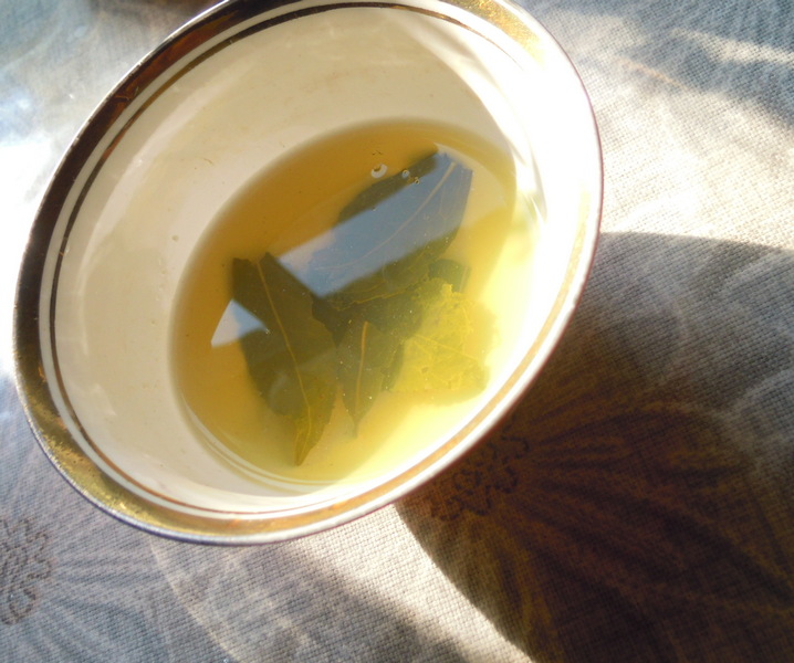 DSCN4495.jpg