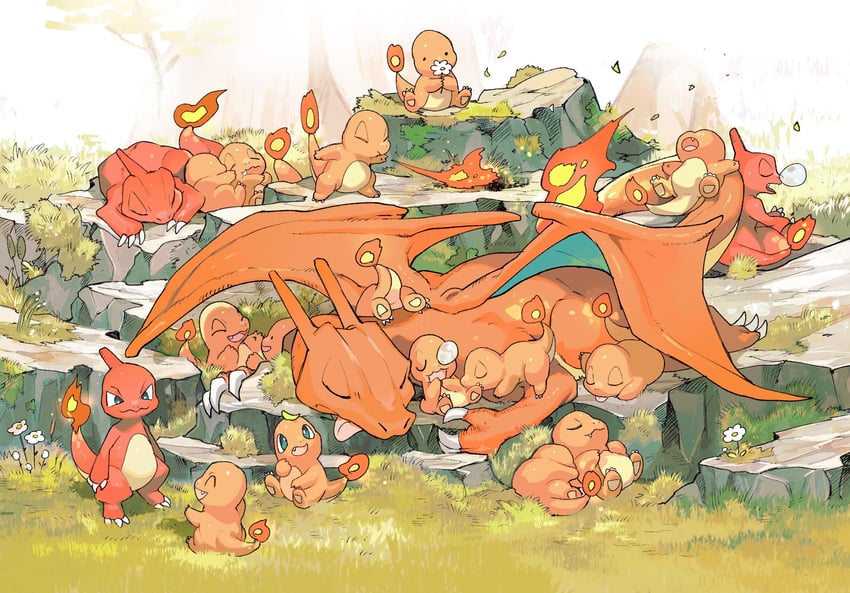 charizard-charmander-ditto-charmeleon-an