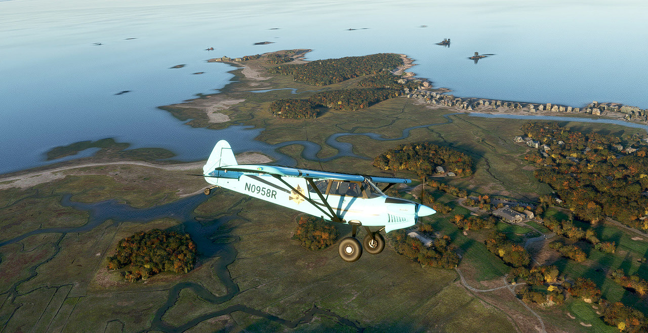 c291.jpg