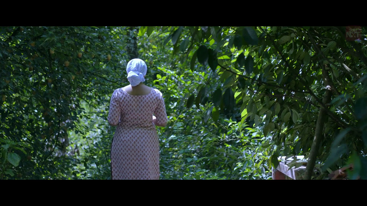 vlcsnap 2026 02 11 15h45m22s838