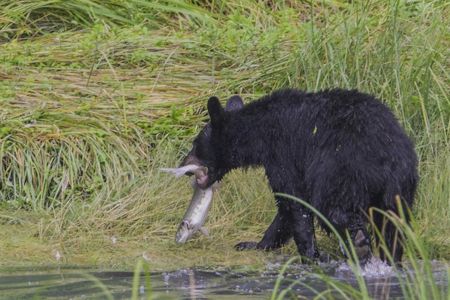 Valdez (1 of 1)-16 - Copy